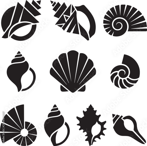 Collection of various seashell silhouettes on vector illustration