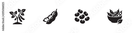 Edible organic soybean icon set. Raw plant in soil, dry beans cluster, pods and soya bowl symbols. Vector illustration.