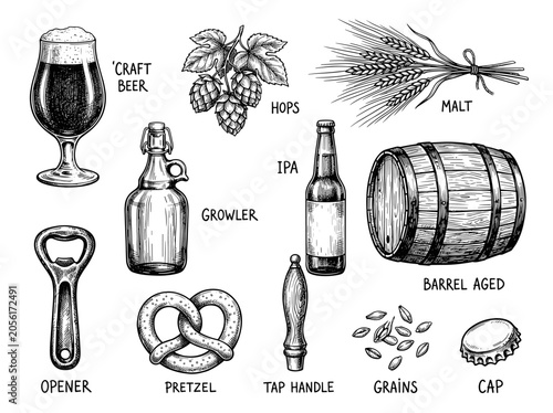 Vintage craft beer sketch set with hop and barley, hand draw ink illustration on white background