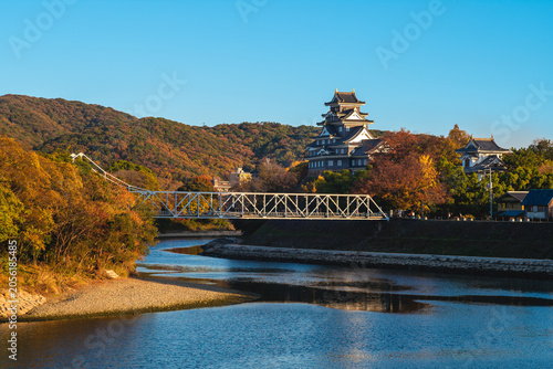 Okayama Castle, aka Ujo or crow castle, by river asahi in okayama, japan