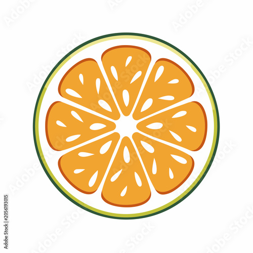 Stylized Slice of Orange Fruit