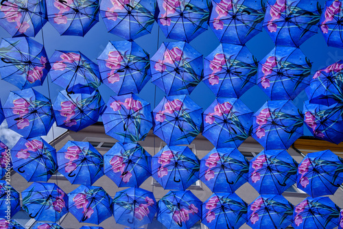 Blue umbrellas above the street