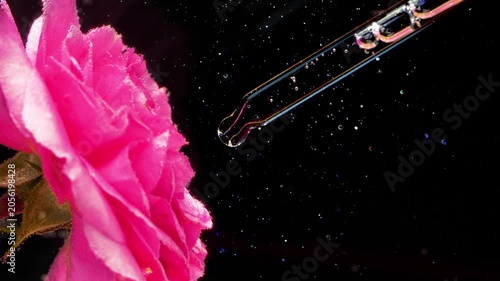 Pure Floral Essence for Beauty and Self-Care with Natural Active Ingredients