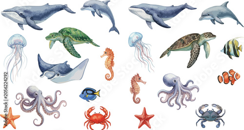 Underwater Sea Animals Watercolor Illustration Vector Bundle