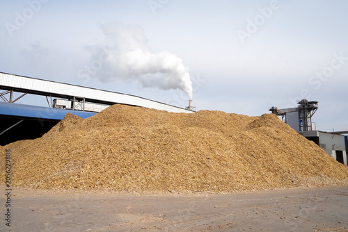 Wood chips and raw materials are piled together in a factory in North China