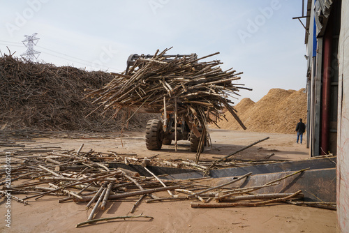 Workers drive engineering vehicles to transport branches in a sawdust processing plant, Luannan County, Hebei Province, China