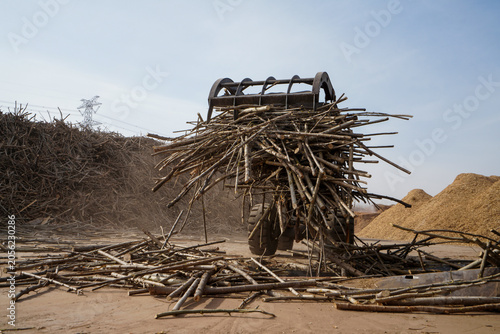 Workers drive engineering vehicles to transport branches in a sawdust processing plant, Luannan County, Hebei Province, China