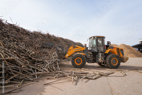 Workers drive engineering vehicles to transport branches in a sawdust processing plant, Luannan County, Hebei Province, China