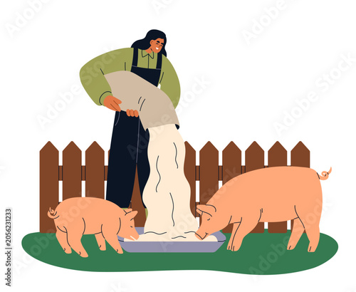 Farmer woman feeding pigs on countryside farm. Country worker pouring grain f...