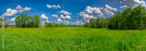 Foto Green meadow panorama under blue sky with clouds