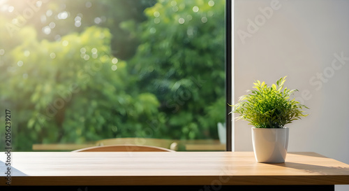 Minimalist workspace with potted plant and natural light