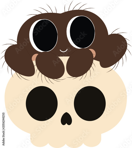 Cute Spider Sitting on Skull Illustration