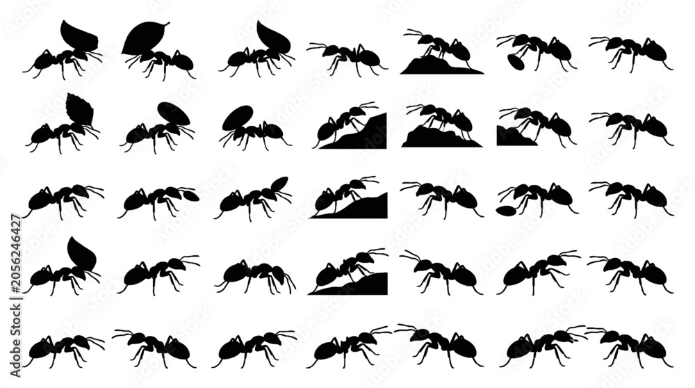 Fototapeta premium Ant Silhouette Collection Featuring Worker Ants Leaf Carriers and Natural Insect Poses