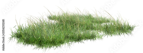 Foto grass isolated on white background/High-resolution, sharp isolated patch of green wild grass and meadow lawn on a pure white background