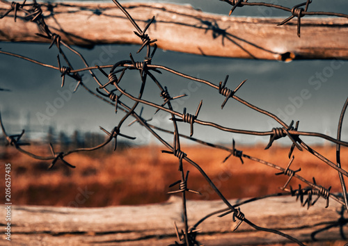 Obraz na plátne Barbed wire on wooden fence against blue sky and open field in rural area during