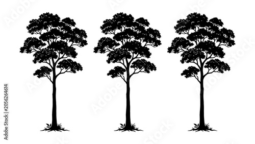 Bild auf Leinwand Black tree silhouettes vector set with tall trunks and leafy branches for landsc