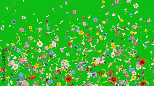 Colorful Flower Petal Confetti Scattered on Bright Green Background