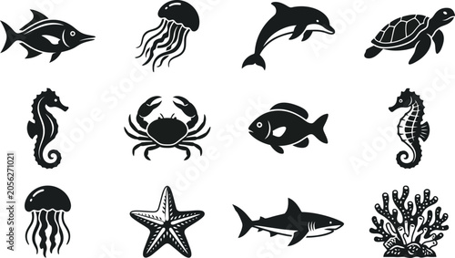Canvas Print Black and white sea creatures
