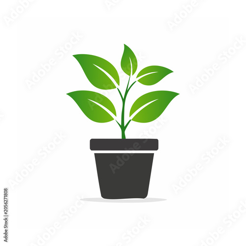 Minimalist potted plant 3D render