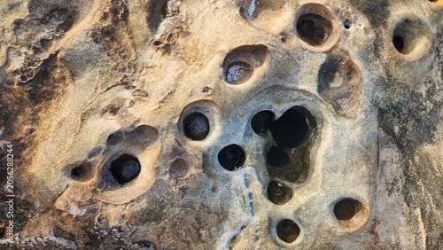 Photography ​A top-down view of smooth coastal sandstone featuring deeply eroded potholes filled with dark water