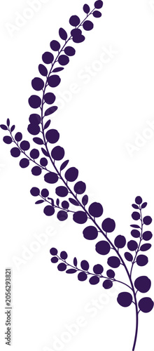 Minimalist Eucalyptus Branch Silhouette Vector Graphic