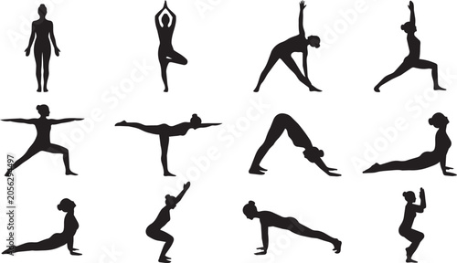 Silhouettes of Men and Women Performing Various Yoga and Fitness Poses