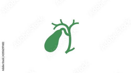 Obraz na płótnie Green illustration of a human gallbladder with bile ducts on a white background