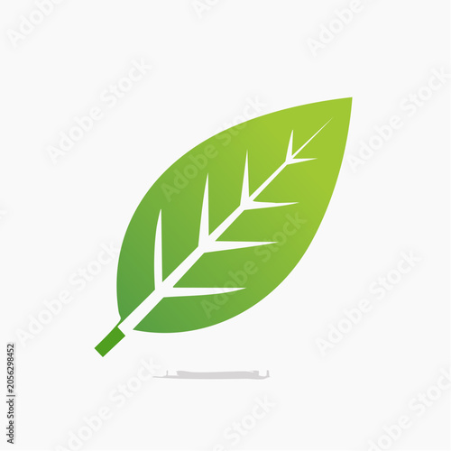 Green leaf icon with veins and shadow