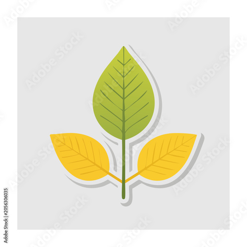 Flat design vector tulip flower