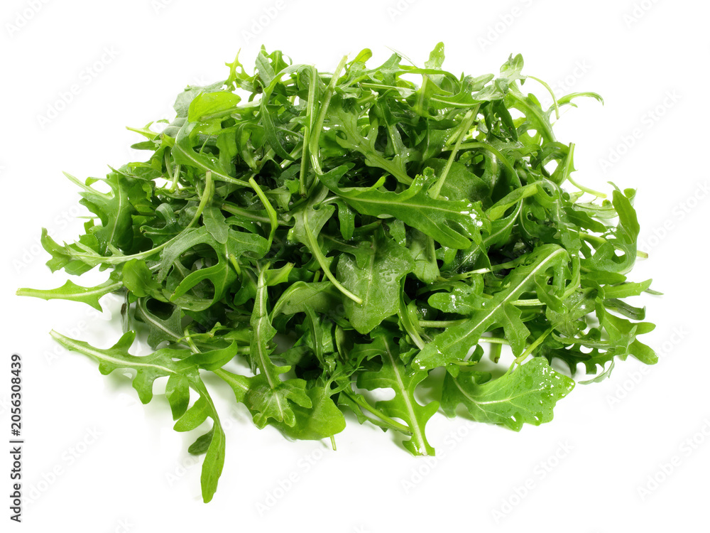 Fototapeta premium Fresh Rucola Salad isolated on white Background