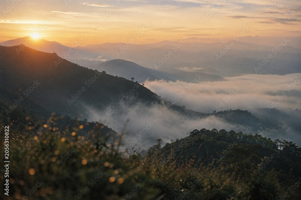 Obraz premium Golden Sunrise Over Foggy Mountain Valley Landscape