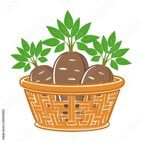 Flat design potted bamboo plant vector