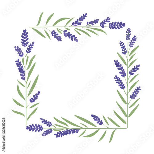 Minimalist lavender sprigs vector art