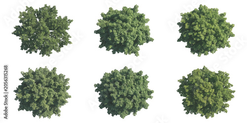 Schilderij op canvas Set of six green trees viewed from above for architectural landscape design plan