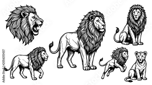 Canvastavla Hand drawn vintage lion sketch set with roaring head and majestic full body post