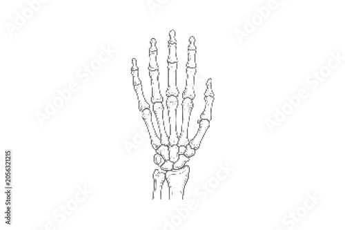 Foto Human hand skeleton illustration in black and white vector format