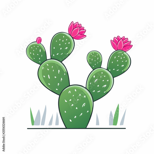 Prickly Pear Cactus with Pink Flowers Illustration