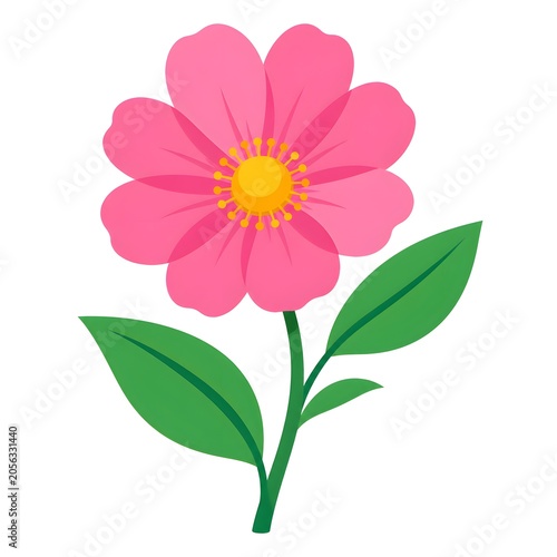 pink daisy flower