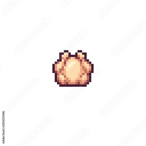pixel art whole raw chicken