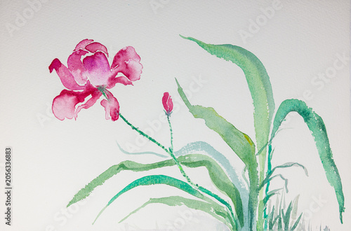 Minimalist orchid watercolor painting on white background. The dabbing technique gives a soft focus effect due to the altered surface roughness of the paper.