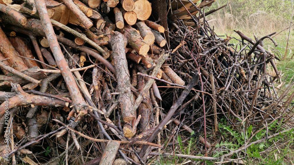 Fototapeta premium A pile of dry branches and wood firewood prepared for a fire