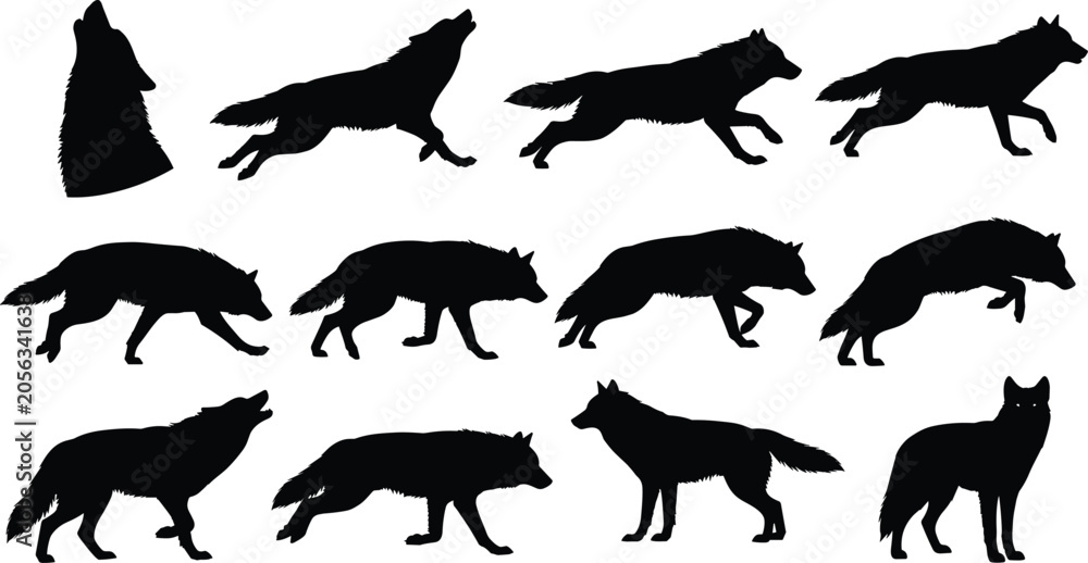 Obraz premium Wolf Silhouettes Collection Set with Howling and Running Poses Vector Illustration