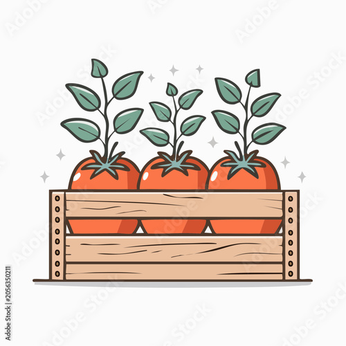 Tomato plants growing in a wooden crate