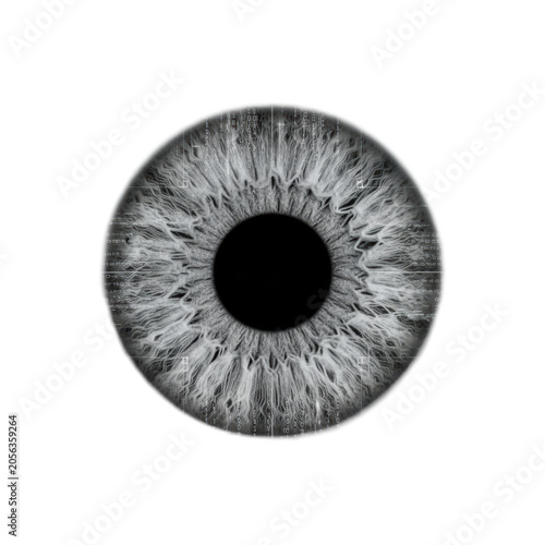 Macro view of a human iris with intricate fibrous patterns and a black pupil on a white background with binary code and geometric grid overlays biometric security