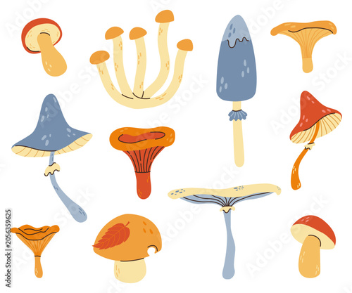 Hand drawn cute autumn mushrooms. Vector set of stylized edible and inedible mushrooms, warm muted palette, white background. For children's projects, packaging, cards, prints, web design elements 
