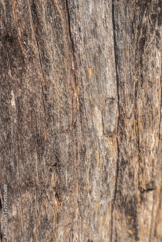 Abstract Weathered Wood Texture with Cracks and Tree Rings, Rustic Natural Background Showing Aging and Organic Patterns