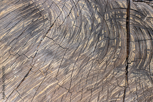 Abstract Weathered Wood Texture with Cracks and Tree Rings, Rustic Natural Background Showing Aging and Organic Patterns