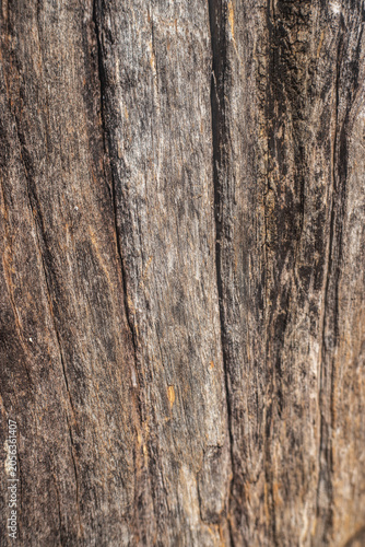 Abstract Weathered Wood Texture with Cracks and Tree Rings, Rustic Natural Background Showing Aging and Organic Patterns