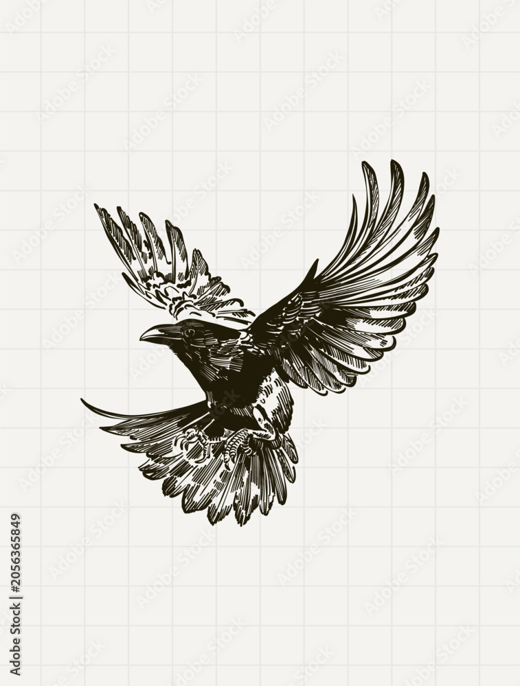 Obraz premium Vintage Flying Raven Engraving Illustration