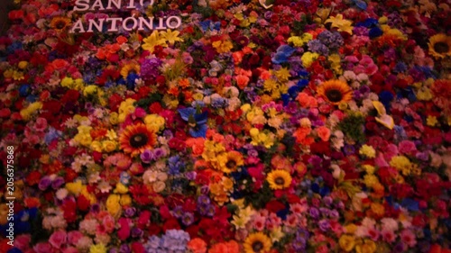 Colorful Santo Antonio Flower Display During Santos Populares Festival Lisbon Portugal Shot with Cinema Camera
